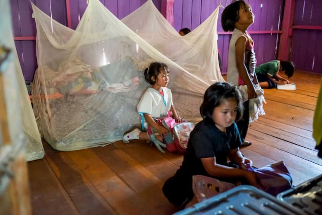Raintree Foundation Chiangmai - 937